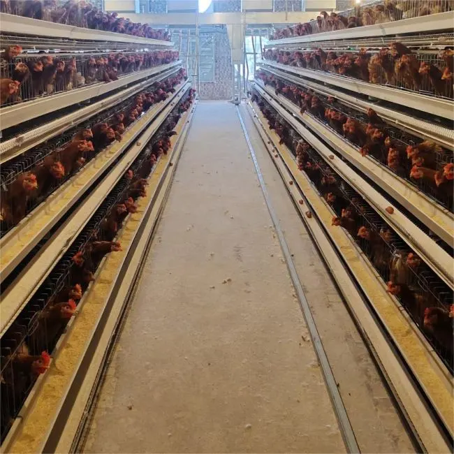 A-Type Layer Cage System detail photo