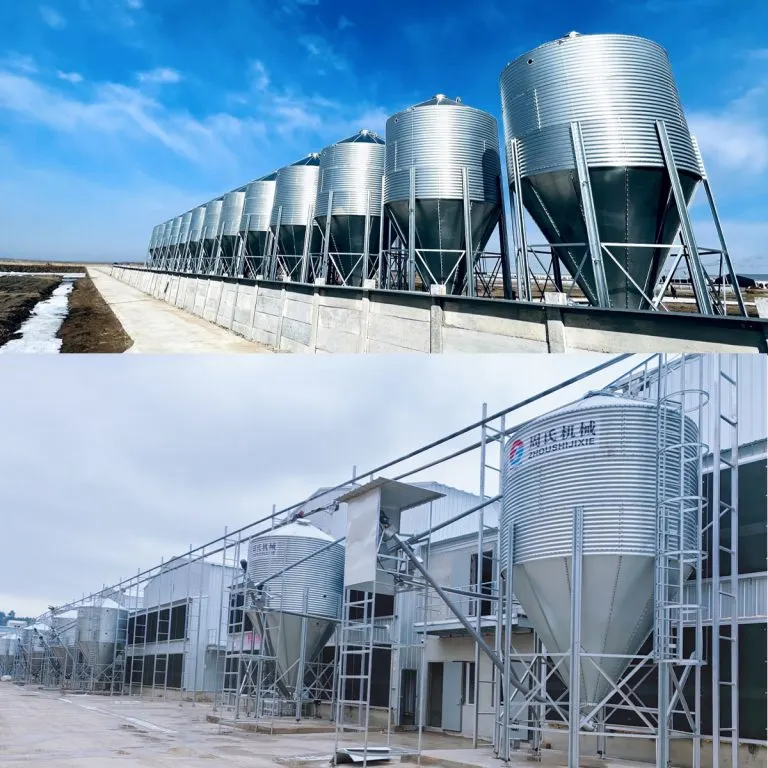 Poultry Feed Silo detail photo
