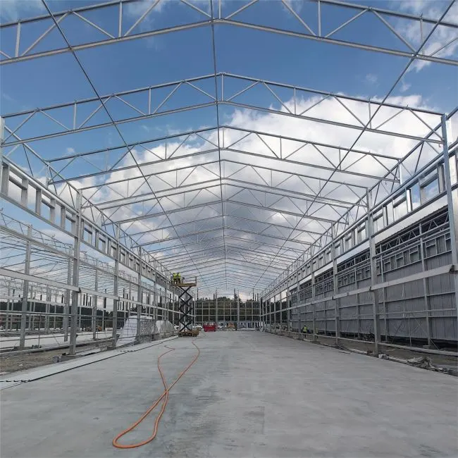 Prefabricated Steel Structure Poultry House detail photo