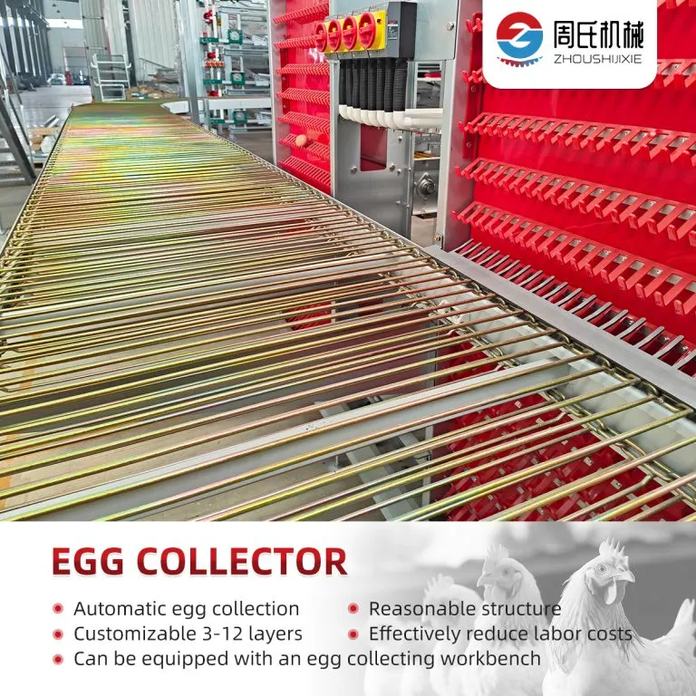 Automatic Egg Collection System detail photo