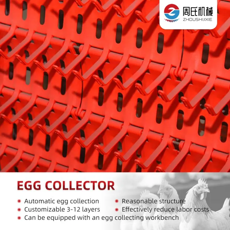 Automatic Egg Collection System detail photo