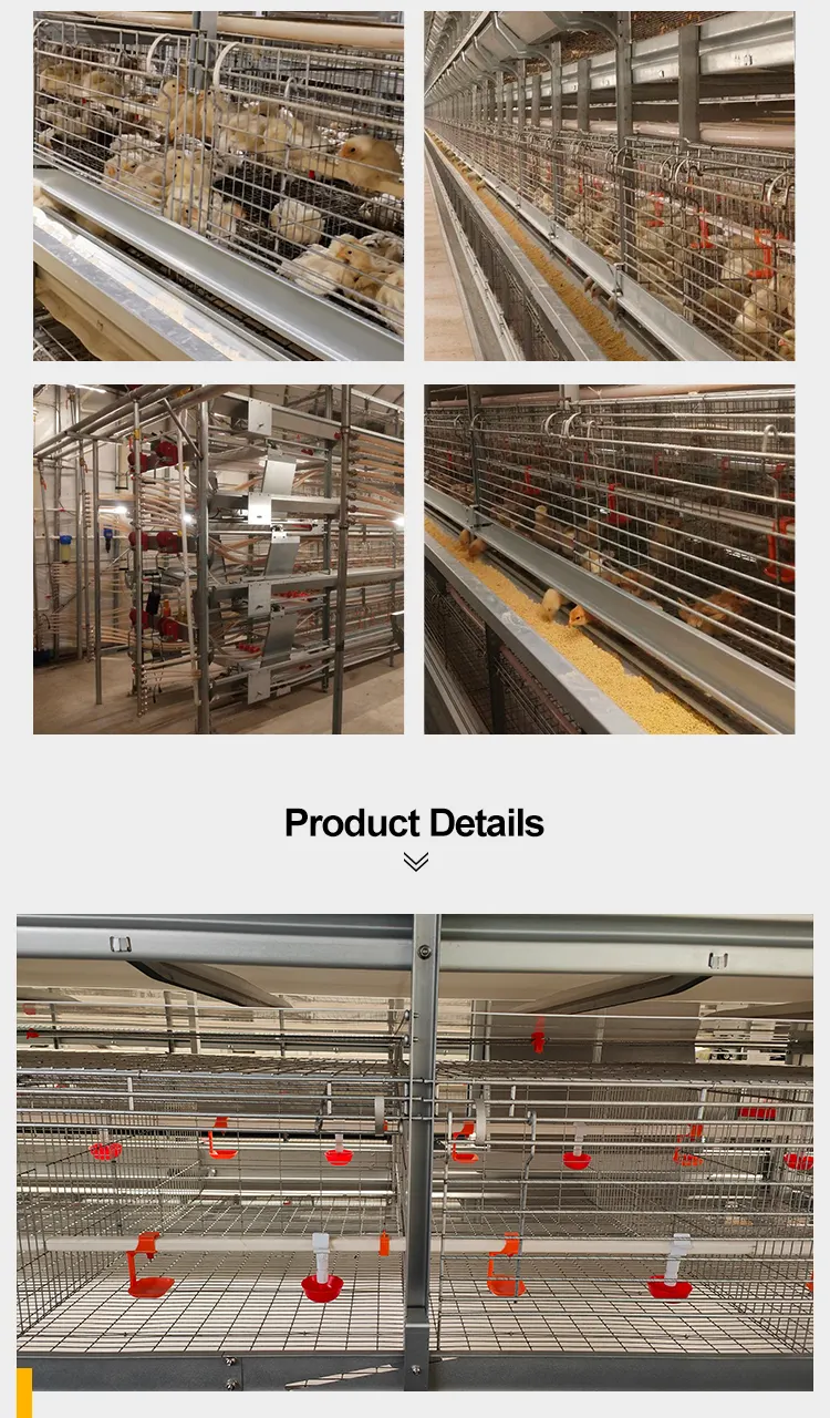 Pullet & Brooding Cage System detail photo
