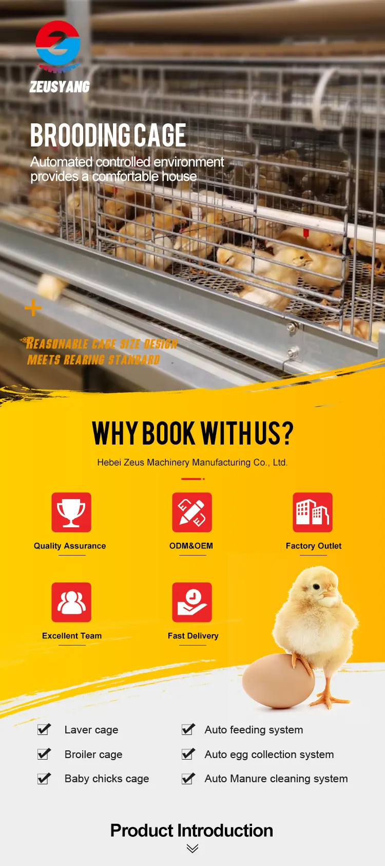 Pullet & Brooding Cage System detail photo