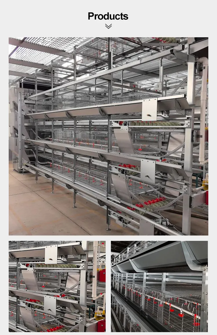 Pullet & Brooding Cage System detail photo