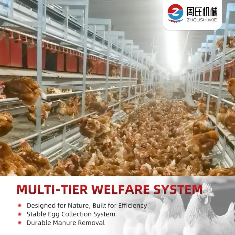 Multi-Tier Welfare & Aviary System detail photo