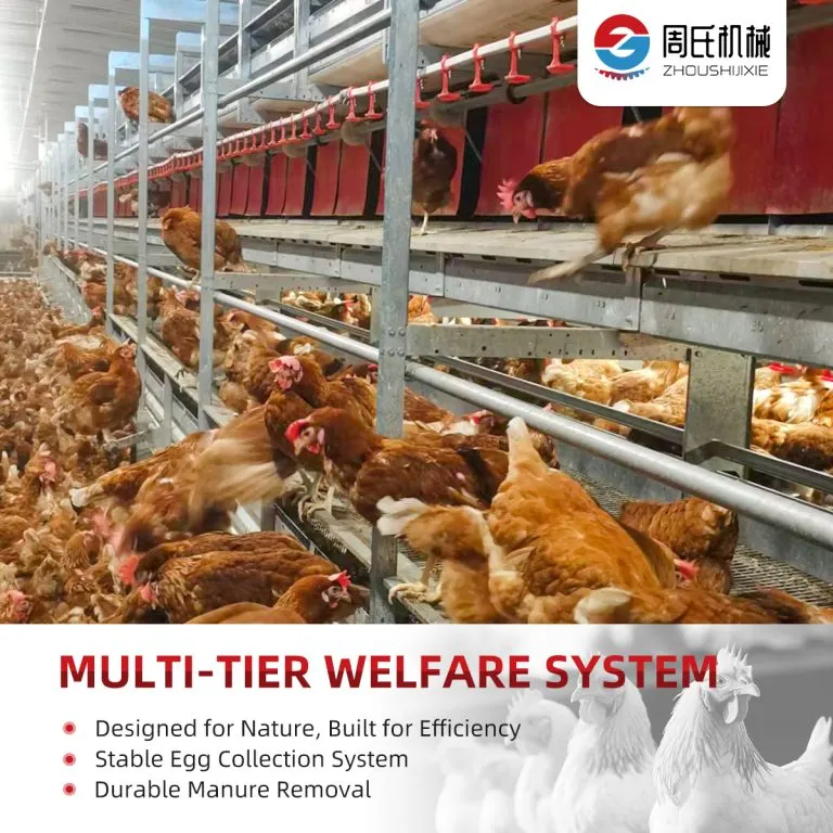 Multi-Tier Welfare & Aviary System detail photo