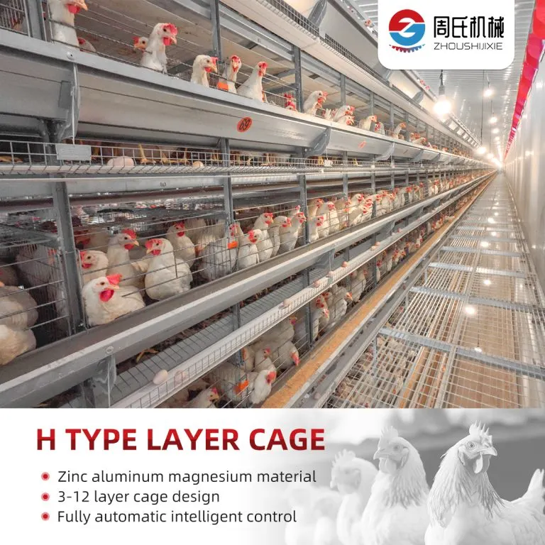 Multi-Tier Welfare & Aviary System