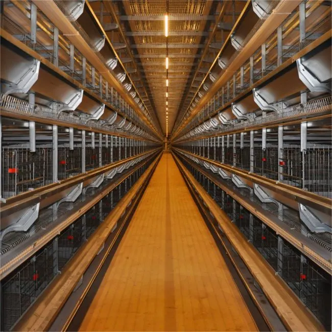H-Type Layer Cage System detail photo