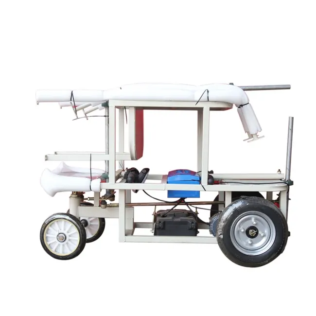 Chicken House Inspection Car