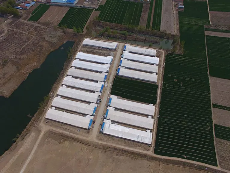 1,000,000-Layer Smart Egg Farm — Mianyang, Sichuan